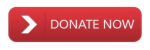 Donate-Button