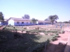 School - Zambia